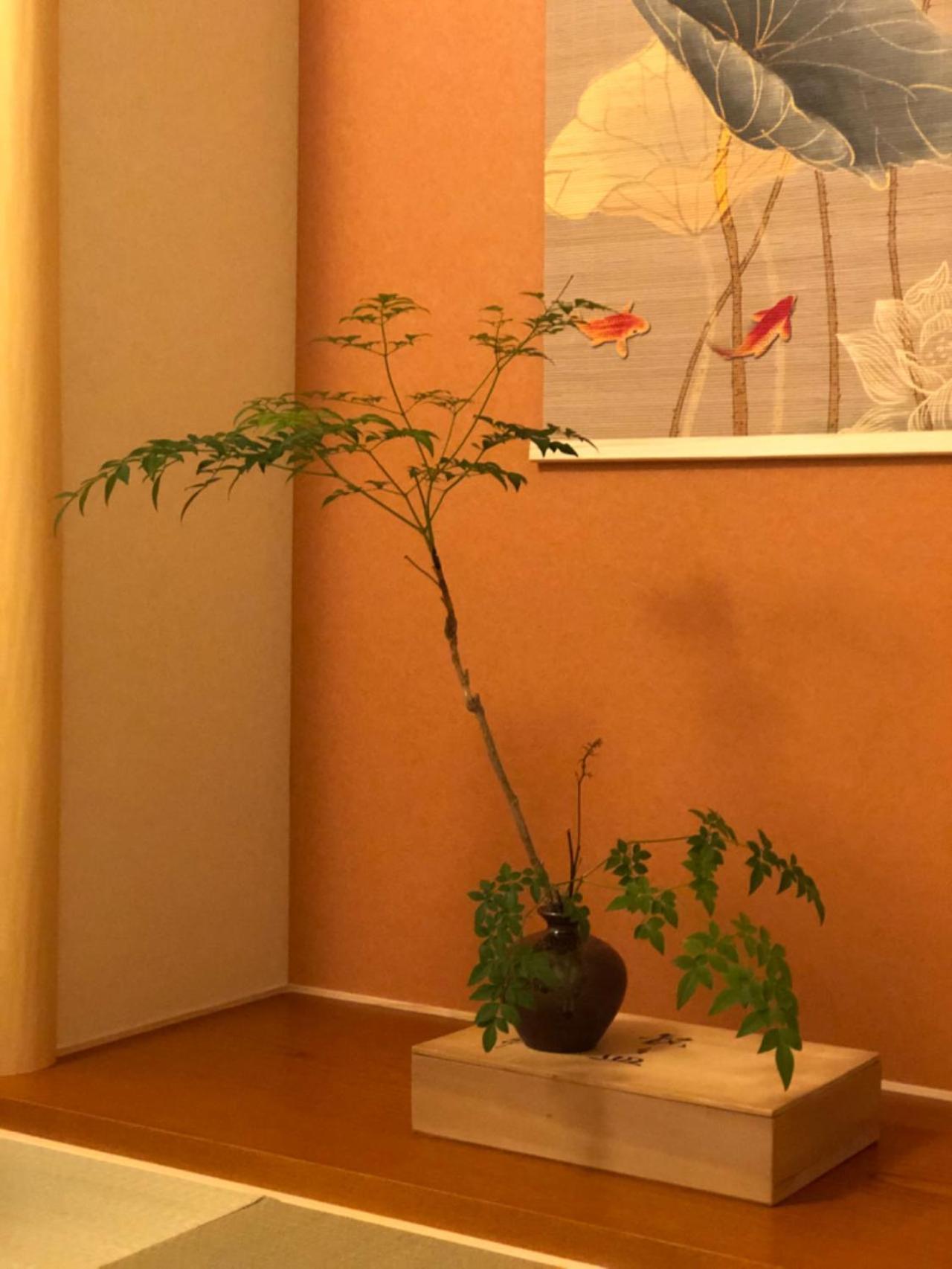 静雅の宿 Kyoto Exterior photo